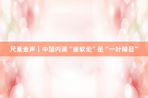 尺素金声｜中国内需“疲软论”是“一叶障目”