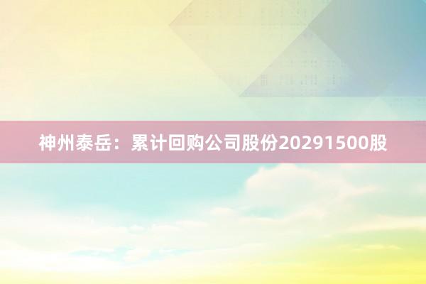 神州泰岳：累计回购公司股份20291500股