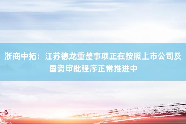 浙商中拓：江苏德龙重整事项正在按照上市公司及国资审批程序正常推进中