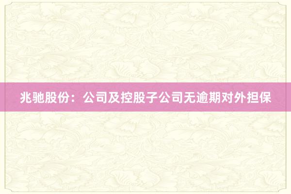 兆驰股份：公司及控股子公司无逾期对外担保