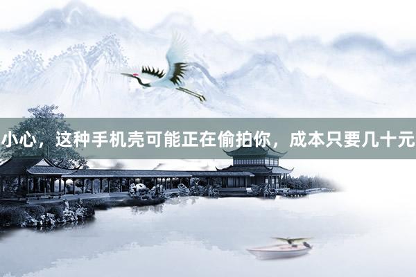 小心，这种手机壳可能正在偷拍你，成本只要几十元