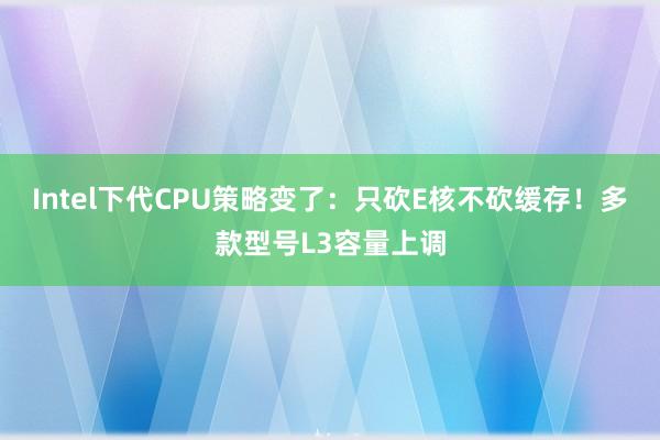 Intel下代CPU策略变了：只砍E核不砍缓存！多款型号L3容量上调