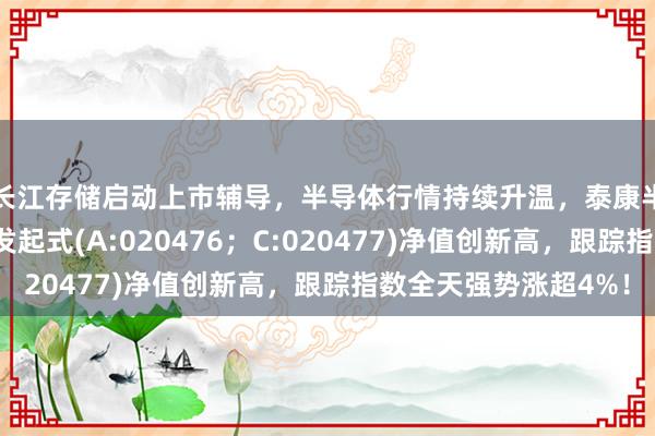 长江存储启动上市辅导，半导体行情持续升温，泰康半导体量化选股股票发起式(A:020476；C:020477)净值创新高，跟踪指数全天强势涨超4%！