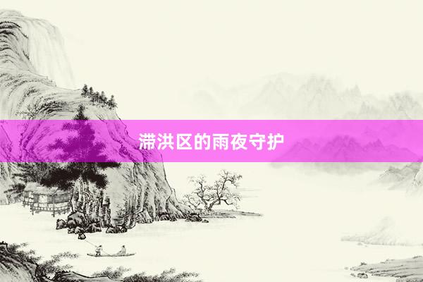 滞洪区的雨夜守护