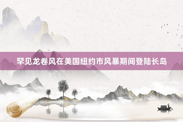 罕见龙卷风在美国纽约市风暴期间登陆长岛