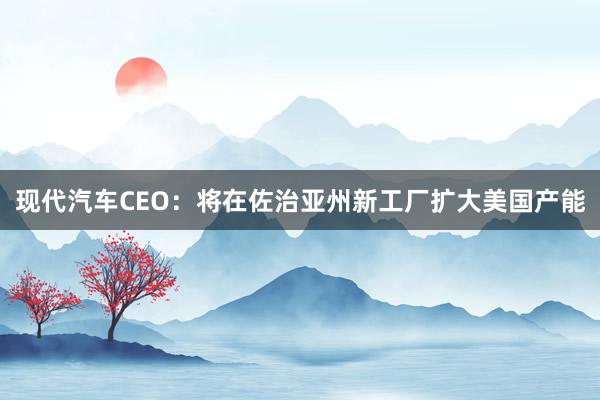 现代汽车CEO：将在佐治亚州新工厂扩大美国产能