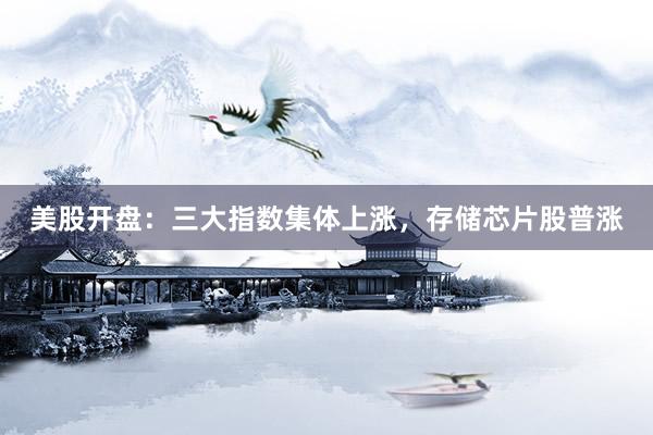 美股开盘：三大指数集体上涨，存储芯片股普涨