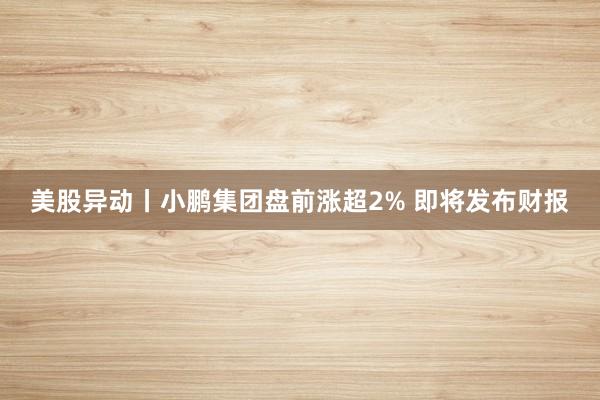美股异动丨小鹏集团盘前涨超2% 即将发布财报