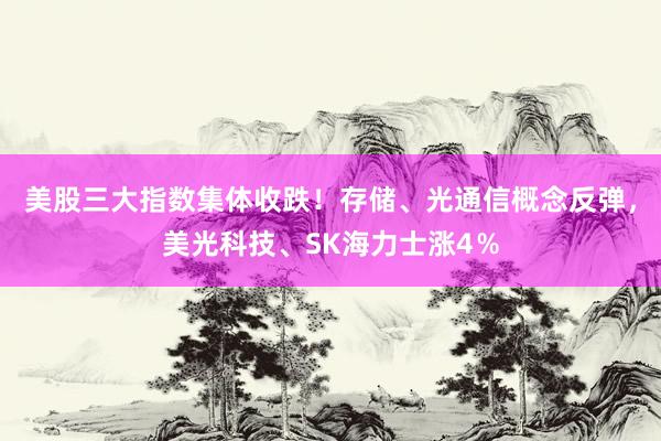 美股三大指数集体收跌！存储、光通信概念反弹，美光科技、SK海力士涨4％