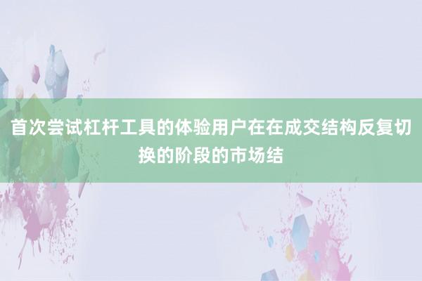 首次尝试杠杆工具的体验用户在在成交结构反复切换的阶段的市场结