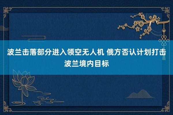波兰击落部分进入领空无人机 俄方否认计划打击波兰境内目标