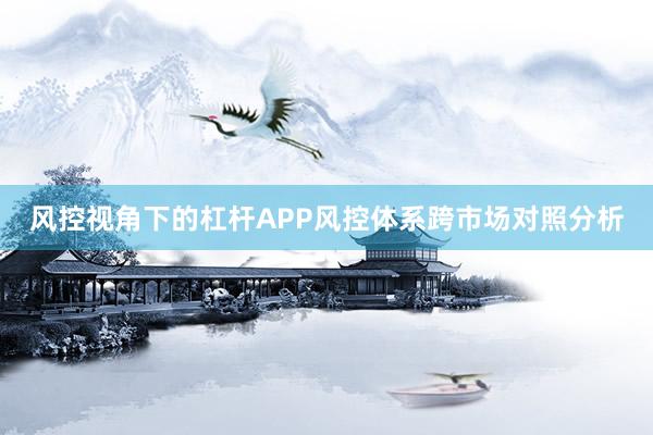 风控视角下的杠杆APP风控体系跨市场对照分析