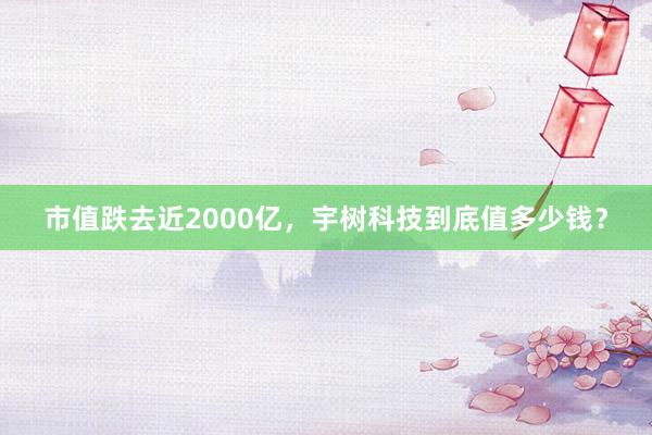 市值跌去近2000亿，宇树科技到底值多少钱？