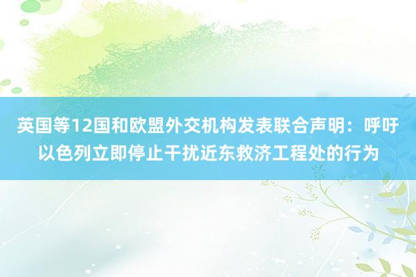 英国等12国和欧盟外交机构发表联合声明：呼吁以色列立即停止干扰近东救济工程处的行为