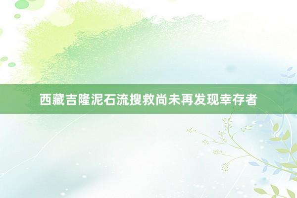 西藏吉隆泥石流搜救尚未再发现幸存者