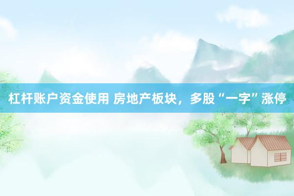 杠杆账户资金使用 房地产板块，多股“一字”涨停