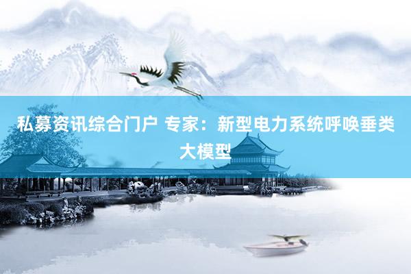 私募资讯综合门户 专家：新型电力系统呼唤垂类大模型