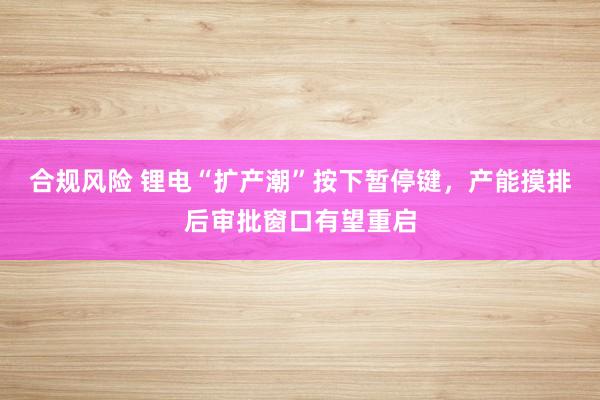 合规风险 锂电“扩产潮”按下暂停键，产能摸排后审批窗口有望重启