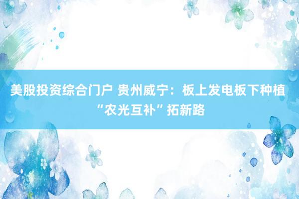 美股投资综合门户 贵州威宁：板上发电板下种植 “农光互补”拓新路