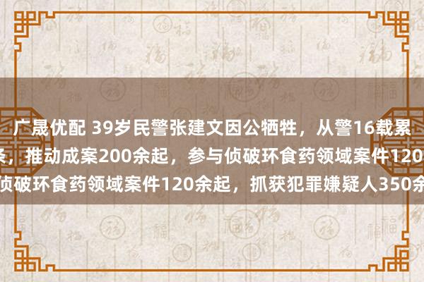 广晟优配 39岁民警张建文因公牺牲，从警16载累计摸排研判线索550余条，推动成案200余起，参与侦破环食药领域案件120余起，抓获犯罪嫌疑人350余名