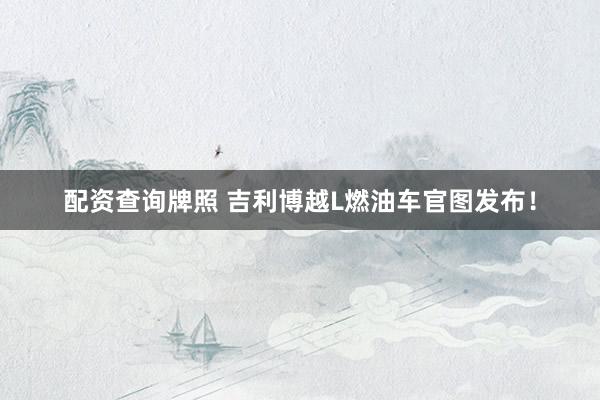 配资查询牌照 吉利博越L燃油车官图发布！