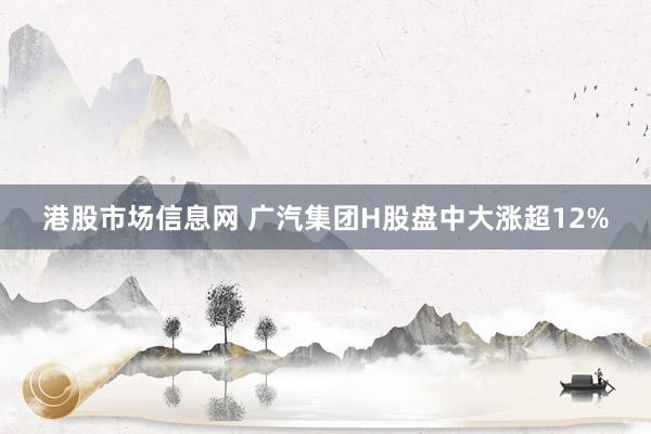 港股市场信息网 广汽集团H股盘中大涨超12%
